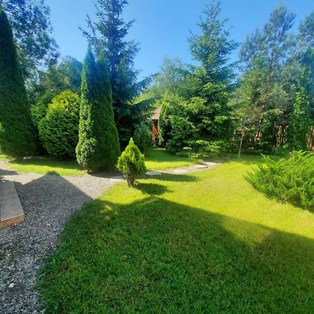 Colt De Rai Villa Bran  Exteriör bild