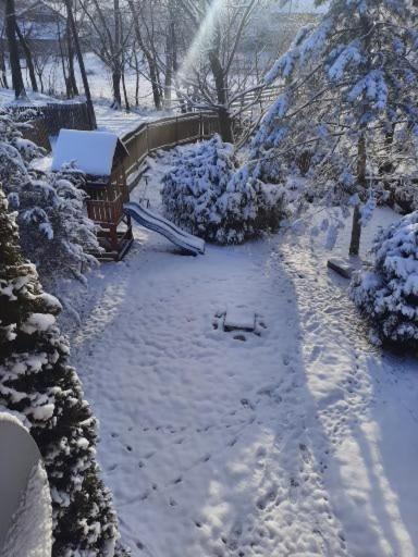 Colt De Rai Villa Bran  Exteriör bild