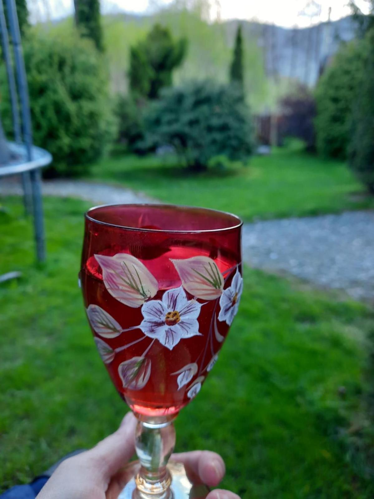 Colt De Rai Villa Bran  Exteriör bild