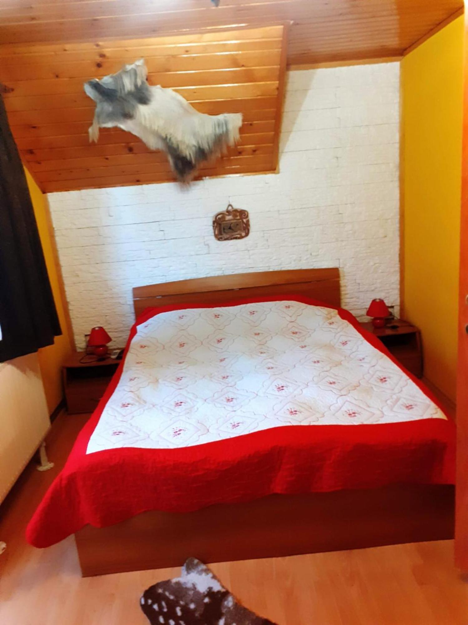 Colt De Rai Villa Bran  Exteriör bild