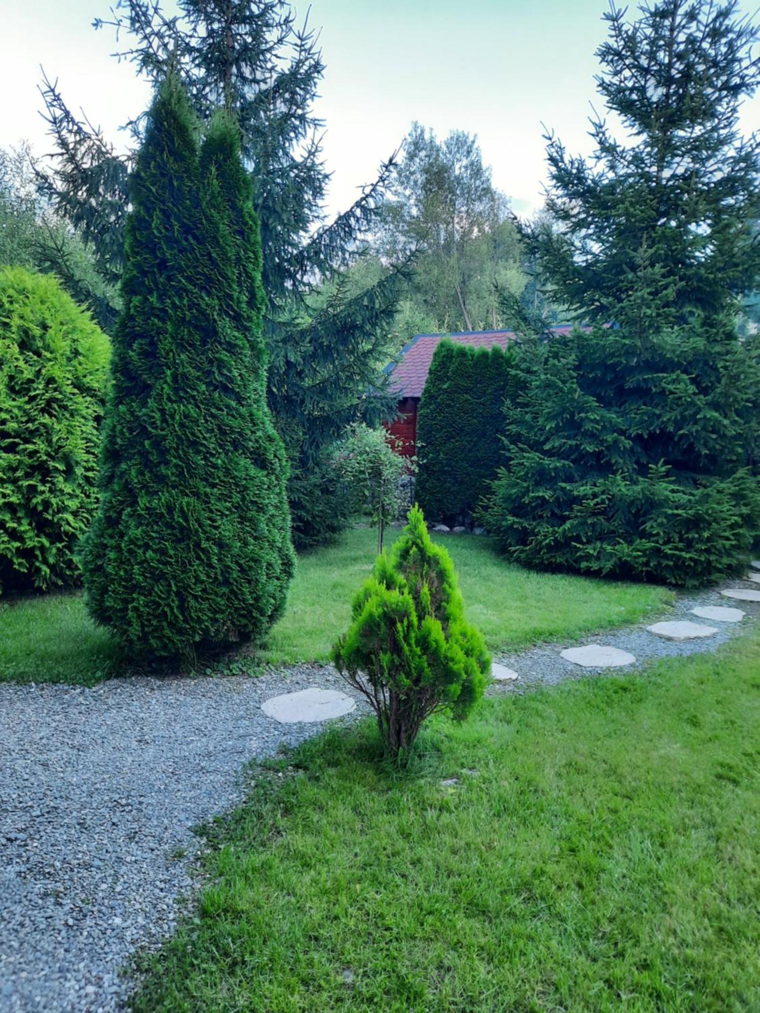 Colt De Rai Villa Bran  Exteriör bild