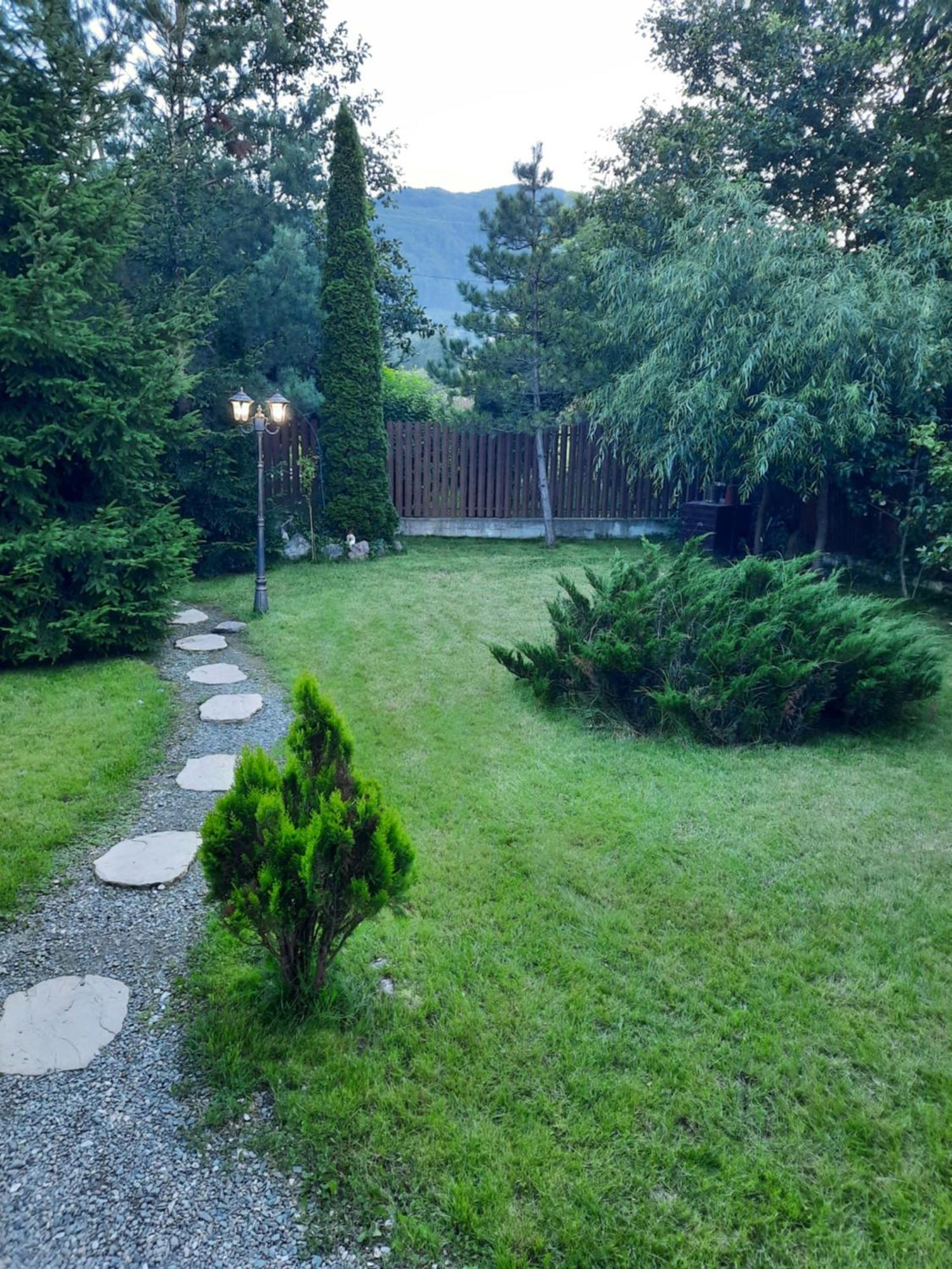 Colt De Rai Villa Bran  Exteriör bild