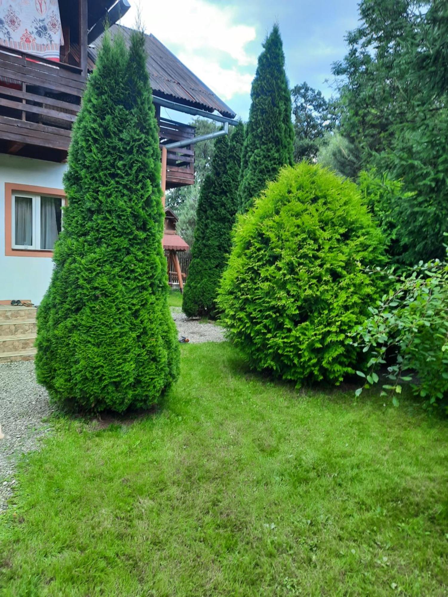 Colt De Rai Villa Bran  Exteriör bild