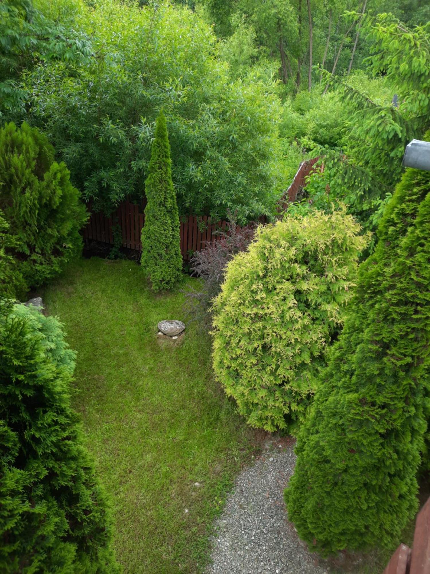 Colt De Rai Villa Bran  Exteriör bild